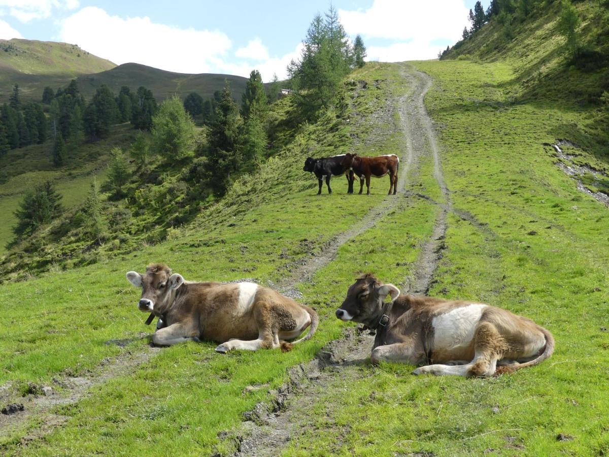 Badererhof Christine Wechselberger Otel Stumm Dış mekan fotoğraf